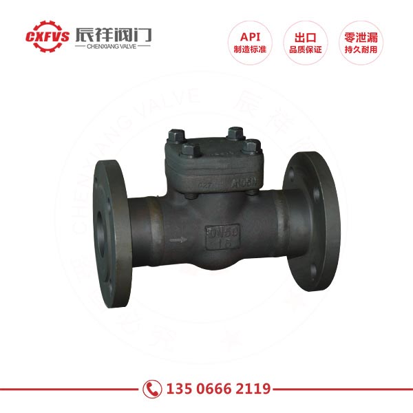 Forged steel flange check valve